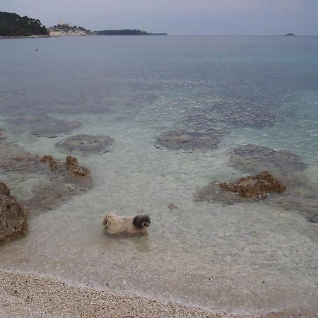 Apartments Mirta Rovinj Exterior photo